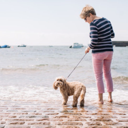 dog-friendly-accommodation-in-jersey